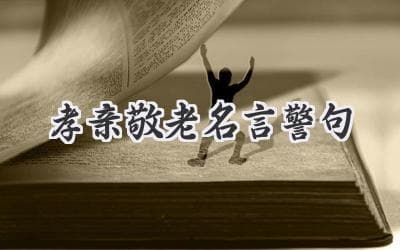 “树欲静而风不止，子欲养而亲不待”：探寻孝亲敬老的真谛