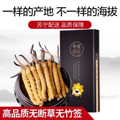 冬虫夏草的优劣区分、功效作用及食用方法