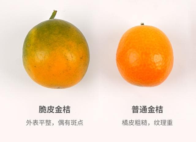 脆皮金桔：从选育到种植的全面指南