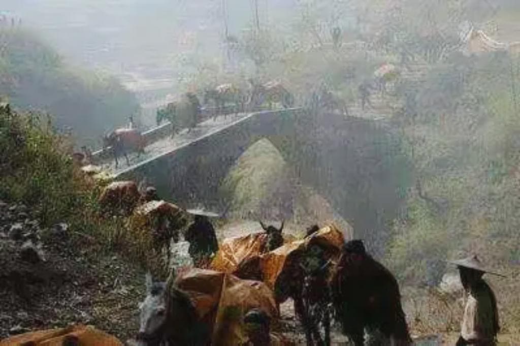“普洱共识”确认北方茶马古道：甘肃陇南的历史见证
