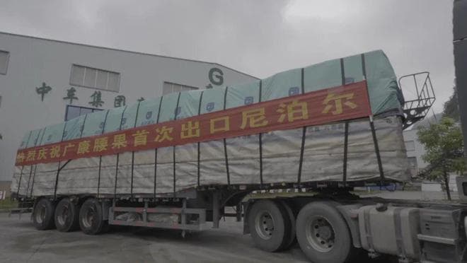 边民互市乡村兴 靖西为全球提供减贫方案