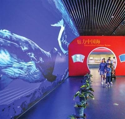 国家海洋博物馆:“馆校共建”带来研学“流量”