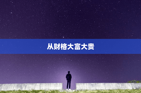 从财格大富大贵