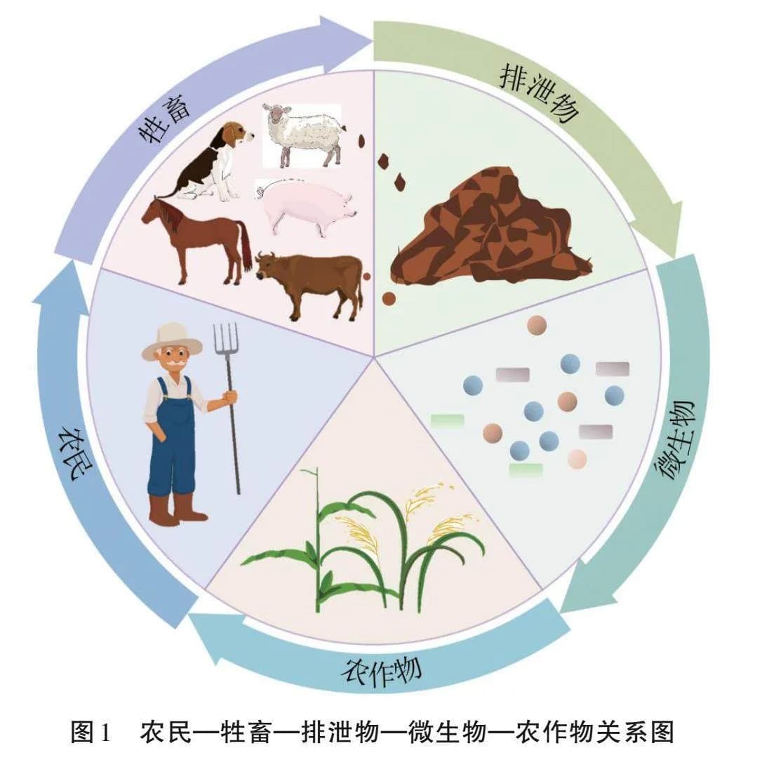 微生物处理技术在畜禽粪便处理中的研究进展