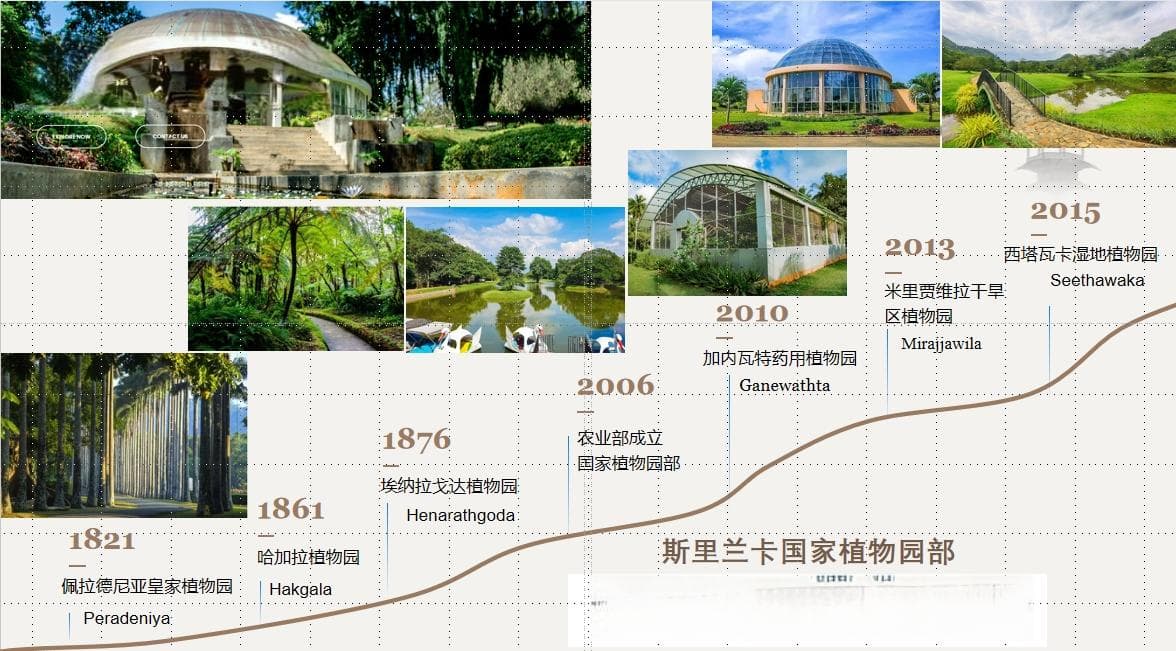 帝国和灾难塑造的斯里兰卡皇家植物园