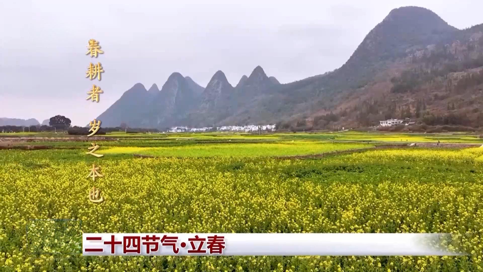 文化中国行丨二十四节气·立春 人随春好 春与人宜