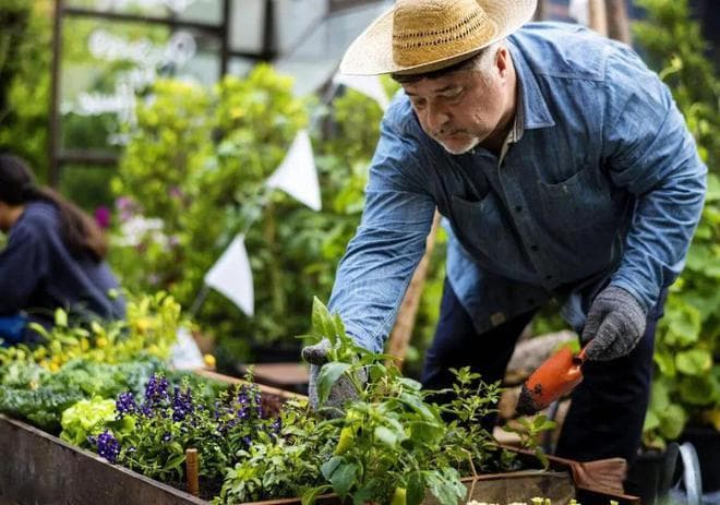 泡沫箱种菜安全吗？专家解读：这些情况下可以放心食用
