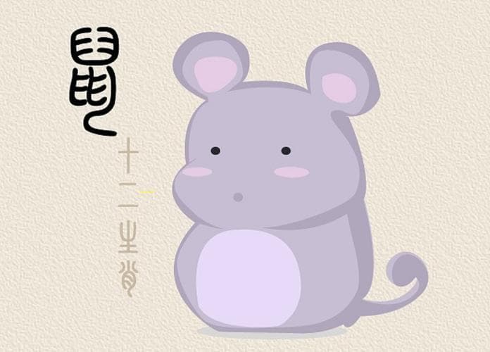 八字命理中的巳丑拱合：命理意义与影响全解析