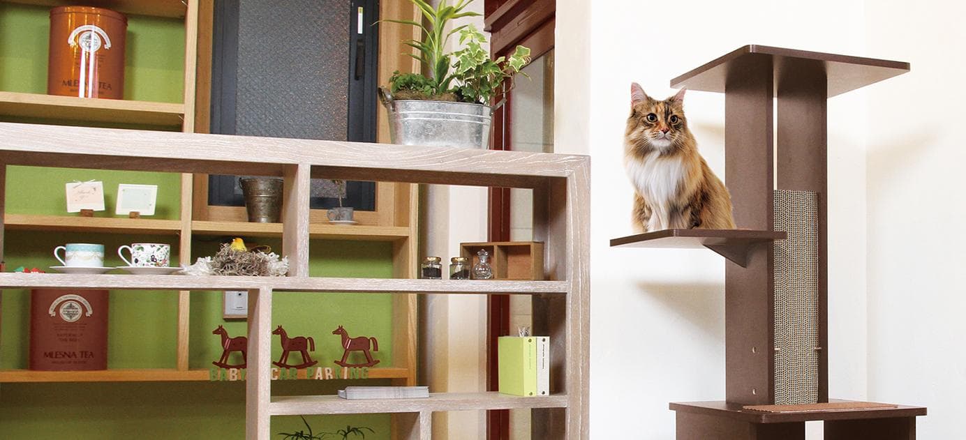 打造猫咪的理想居所：猫塔与圈子的使用指南