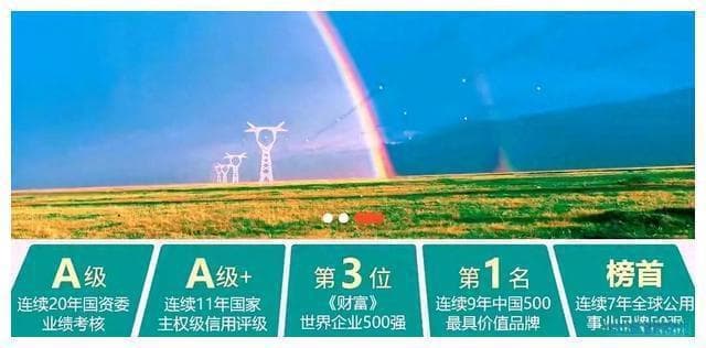 员工数量最多的公司，国家电网、中石油、比亚迪名列前三