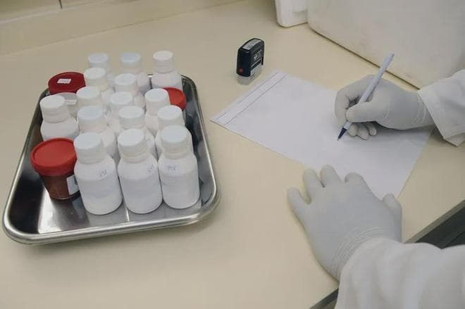 左卡尼汀：安全与否、作用机制与正确使用的全面解析