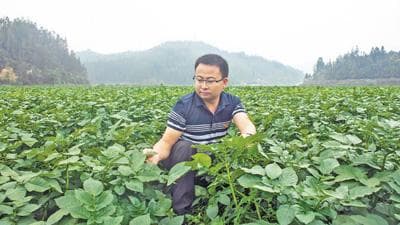 靠科技，冬闲田也有好收成
