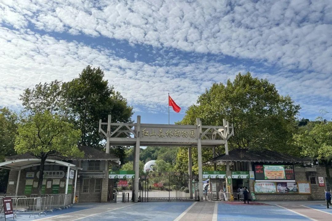 南京首批儿童友好公园名单出炉，六个公园各具特色等你来
