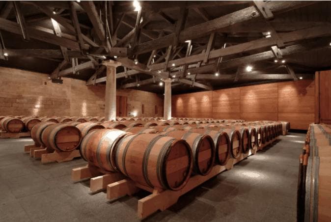 乳酸发酵：原理、应用与健康影响