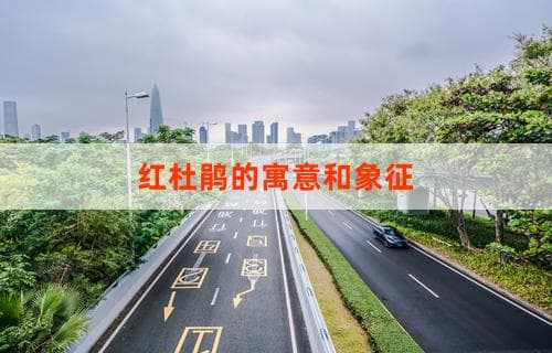 红杜鹃的寓意和象征意义深度解析