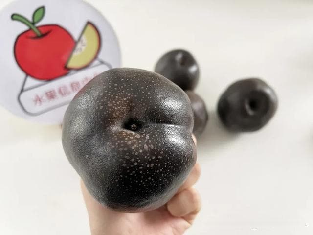 火出圈的"藏乌梨"有可能是智商税？
