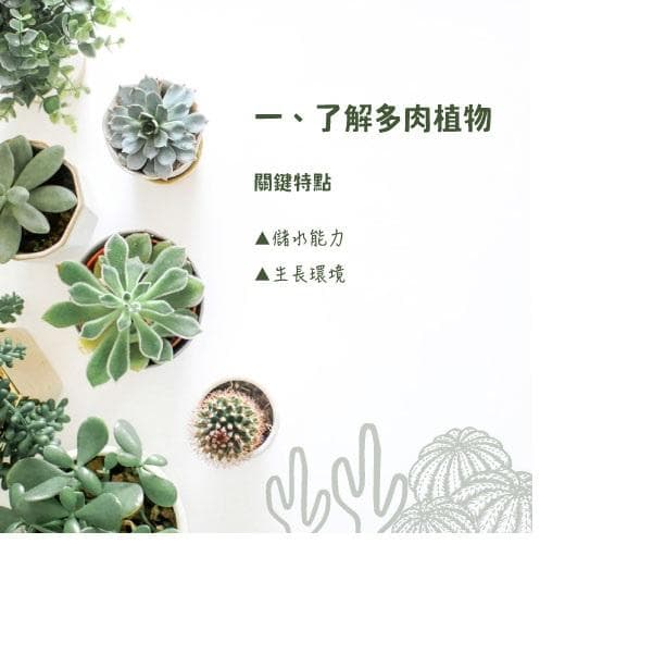 2024年多肉植物基础养护指南：浇水与阳光需求全解析