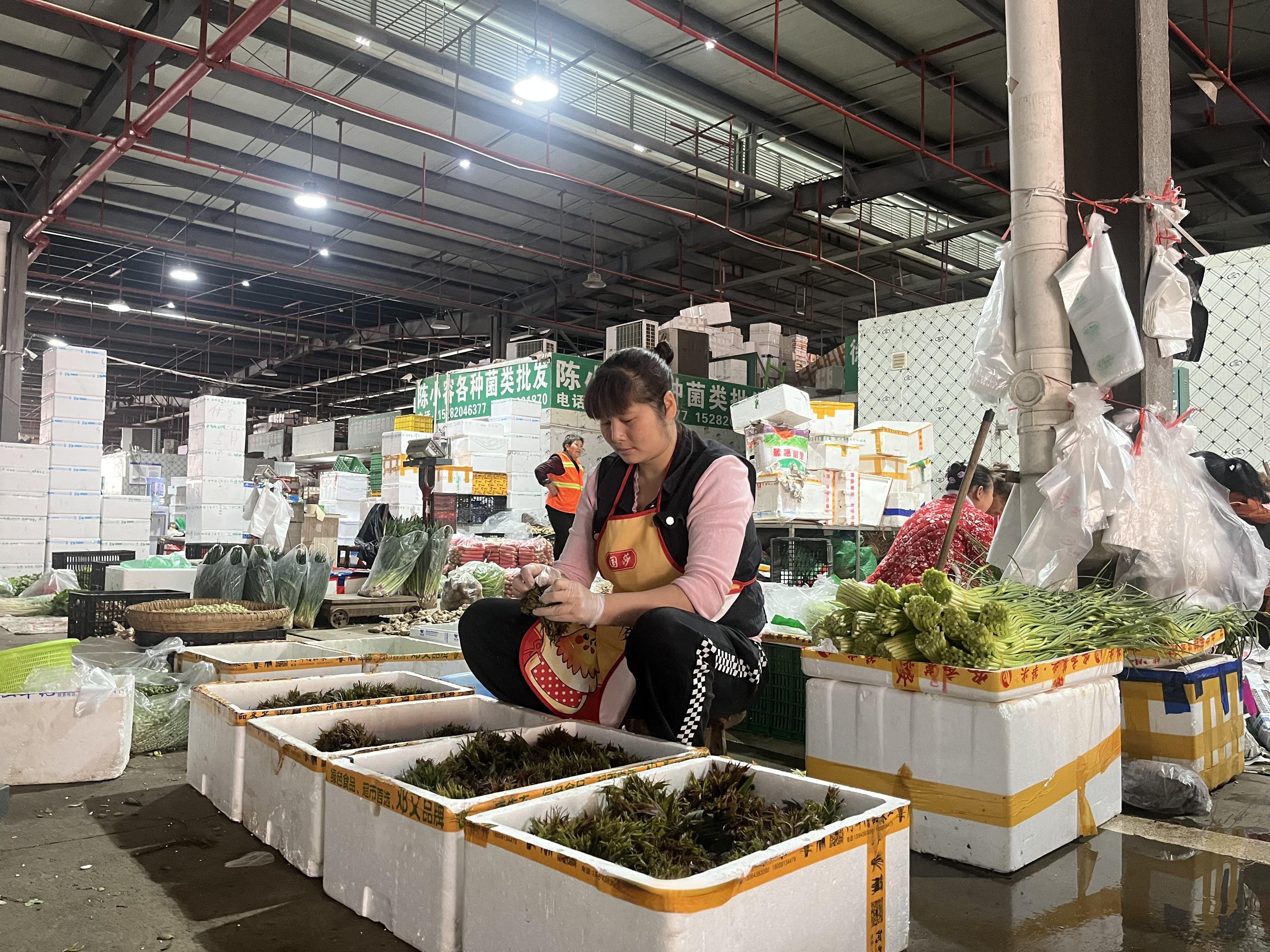 红椿头盈枝 “腥”鲜正当“食”