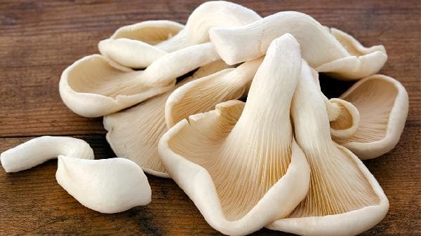 去除蘑菇异味的三种实用方法
