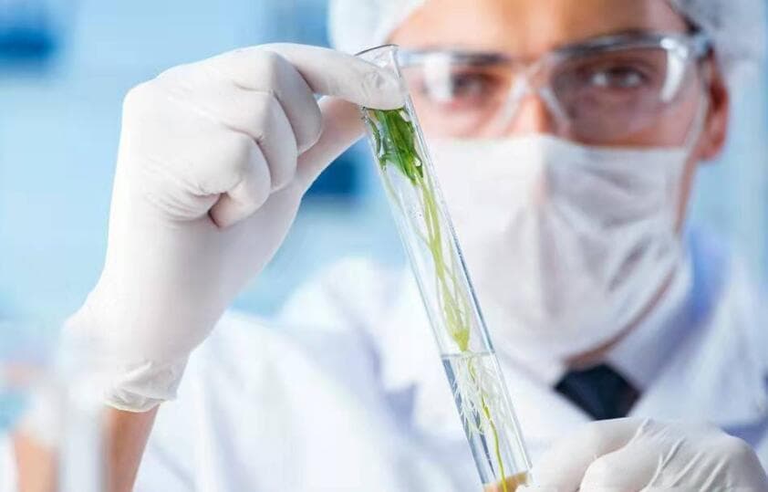 40岁怀孕的生育风险及注意事项