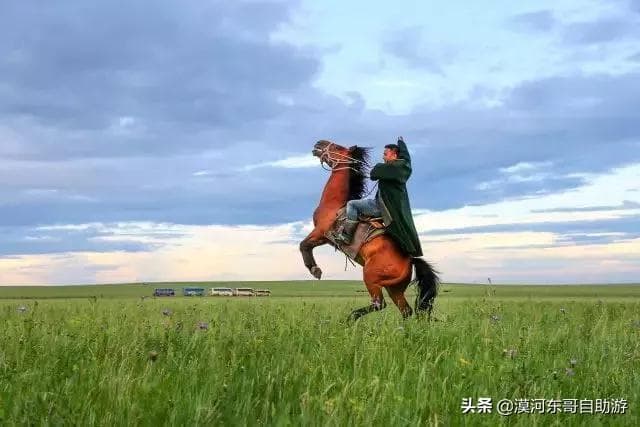 马背上的民族，了解蒙古马文化
