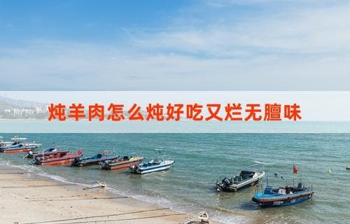 炖羊肉怎么炖好吃又烂无膻味？详细烹饪指南
