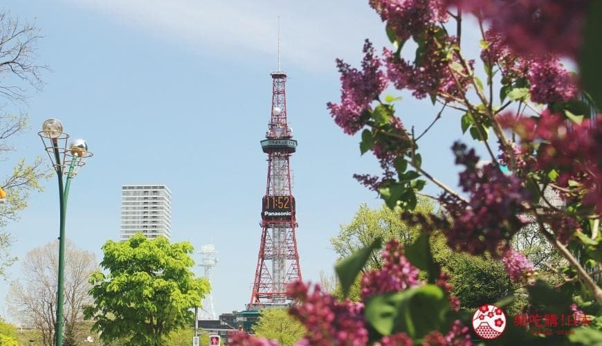 北海道自由行攻略：10天、7天、5天三种行程规划