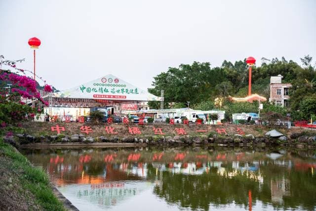 化州平定：以化橘红为媒，绘就粤桂边界农文旅融合新画卷
