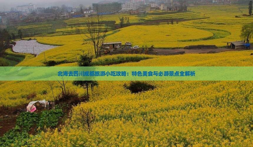 北海去四川成都旅游小吃攻略：特色美食与必游景点全解析