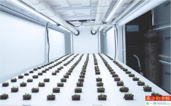 “爆改”集装箱植物工厂 3D社区农场上线