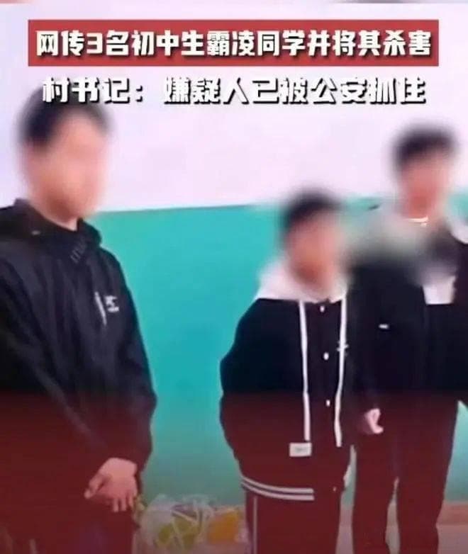邯郸校园命案：14岁以下少年犯获无期引发争议