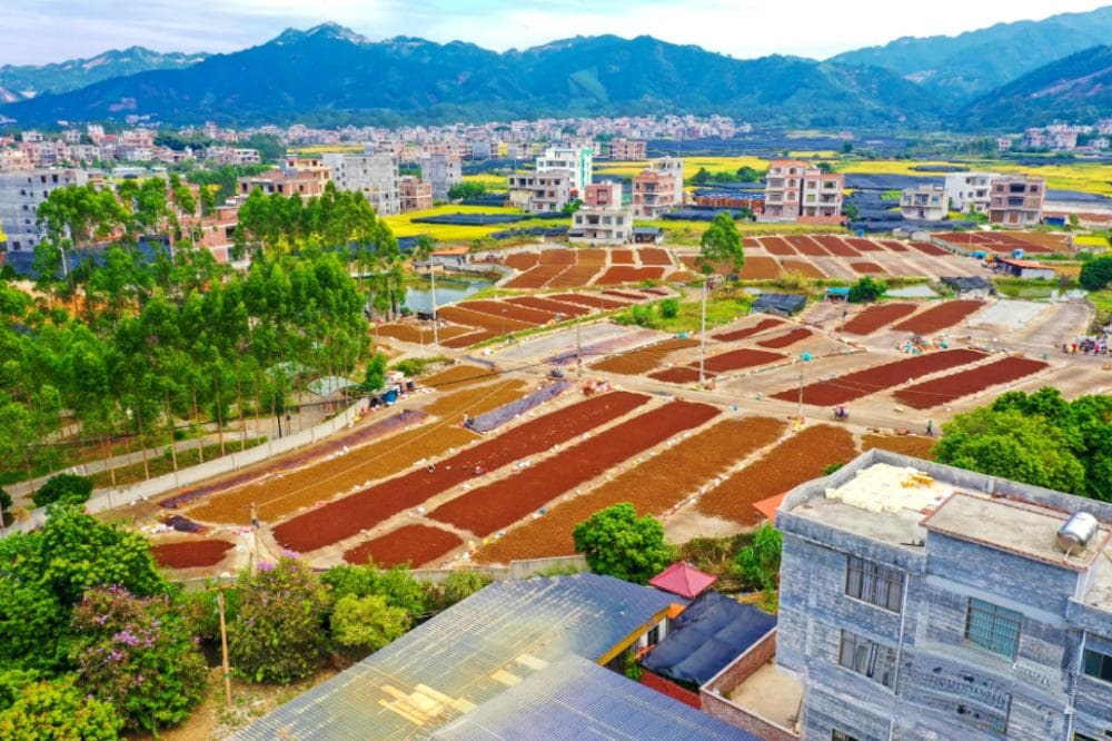 梧州市公布第七批市级非遗项目名录，27个项目入选