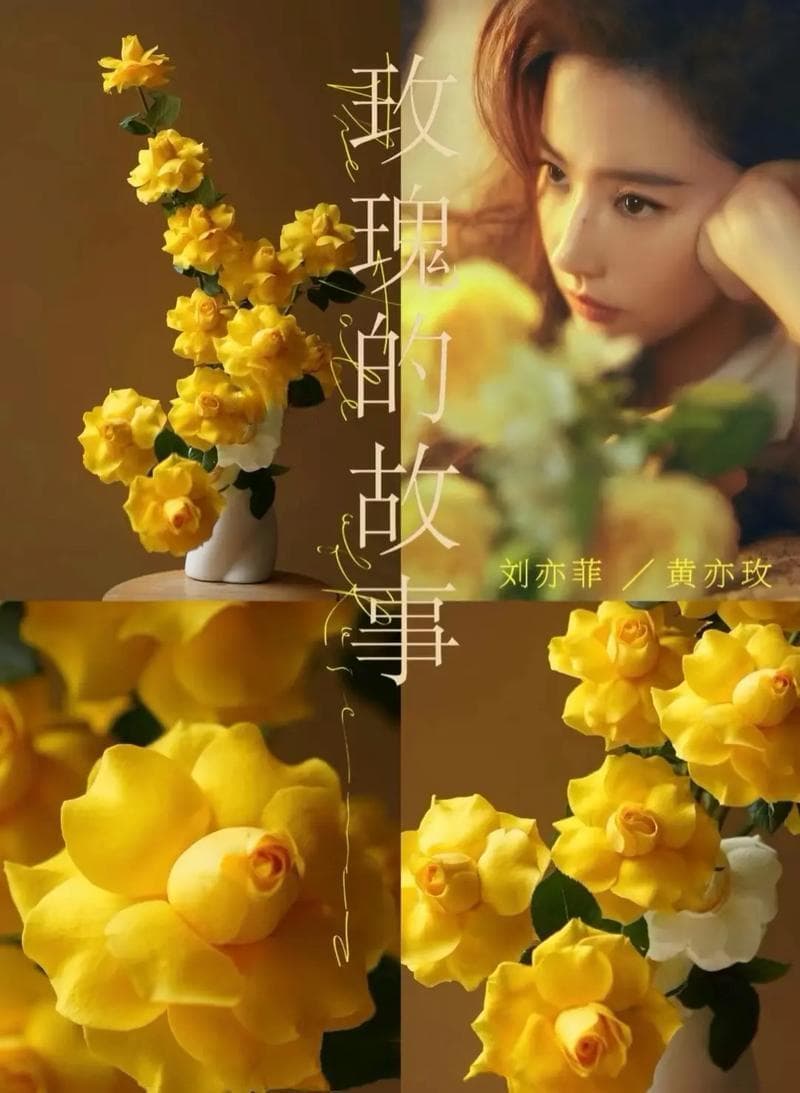 《玫瑰的故事》表达了什么？鼓励现代女性追求独立、自主和幸福