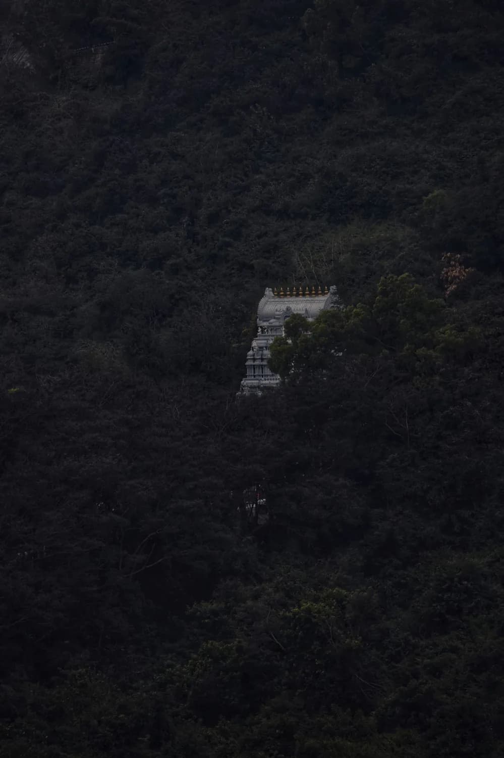 《卧虎藏龙》配乐揭秘：《古寺》中的情感密码