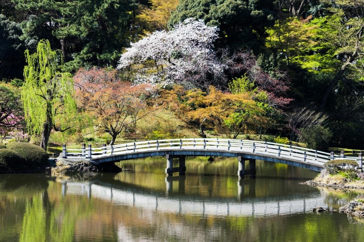 日本3天行程：探索日本最好的文化和現代奇觀