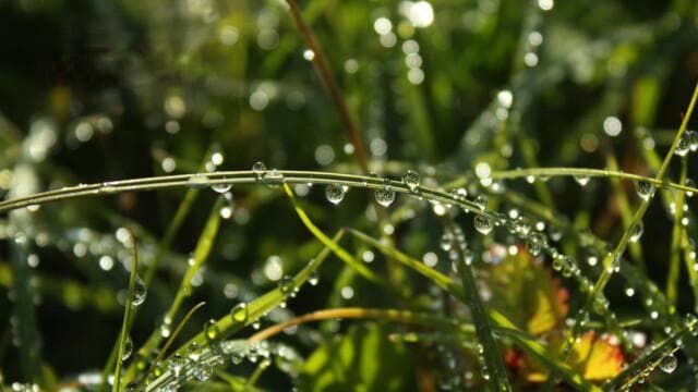 雨水时节丨春捂涵阳防疫病