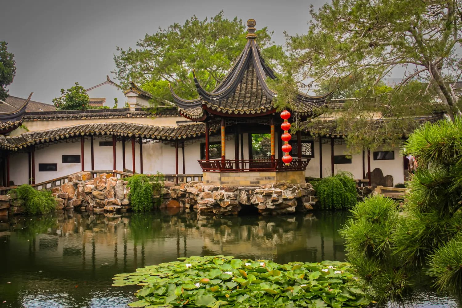 米其林推荐：拙政园最美自然景观