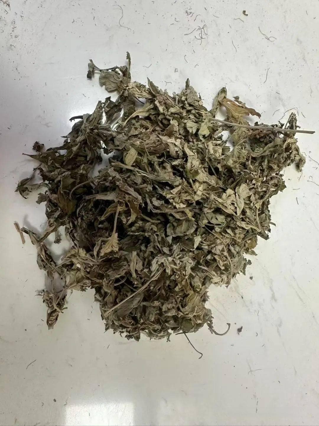 中医特色疗法——中药泡脚