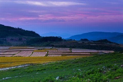 户口迁出后承包的土地还有效吗？法律这样规定