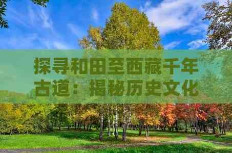 探寻和田至西藏千年古道：揭秘历史文化之旅