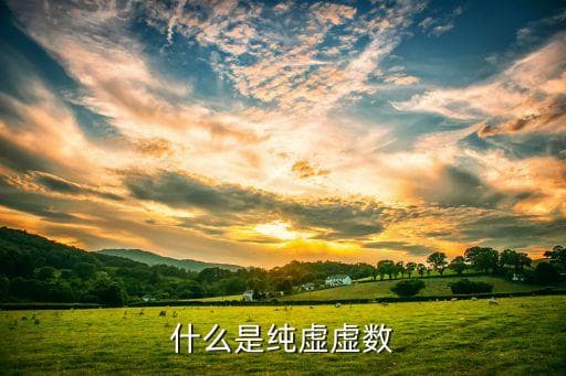 什么是纯虚数：定义、历史与应用