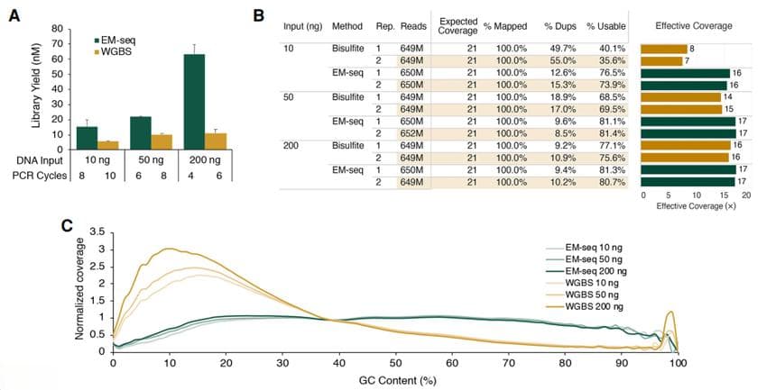 EM-seq：酶法甲基化测序，甲基化测序的新选择