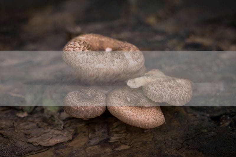 如何防范创业中的运营成本过高