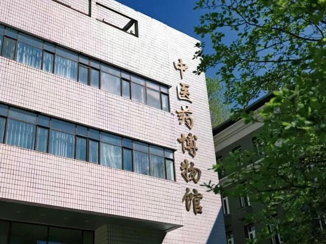 穿梭千年药香，解锁“中医药博物馆”