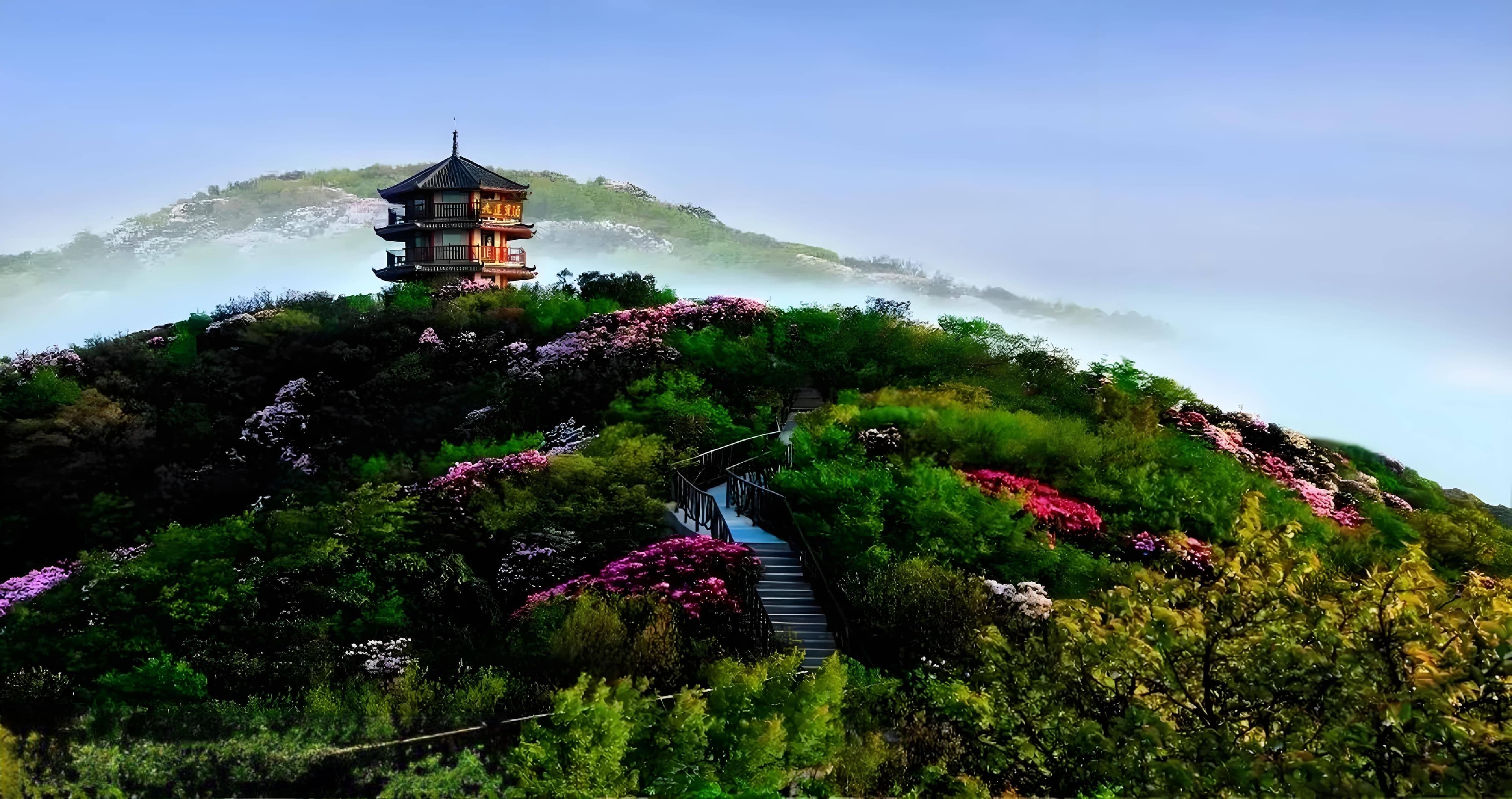探秘重庆金佛山：喀斯特明珠的魅力密码