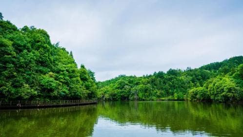 江西抚州游玩攻略：必去的10个景点，看看你去过几个？