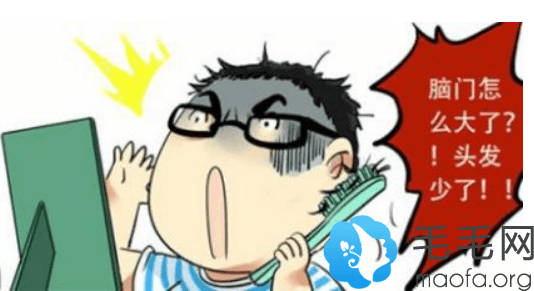 遗传性脱发全解析：从基因遗传到治疗方案