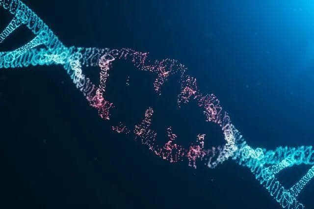 分子生物学重大突破！今日3篇《自然》破解减数分裂近30年难题