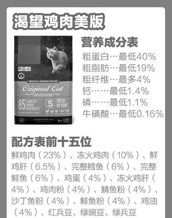 高肉含量猫粮：助力猫咪轻松应对应激期