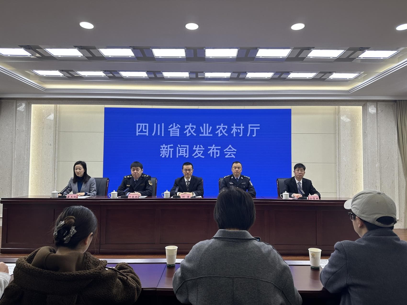 十年禁渔成效初显，四川“一江五河”鱼类资源恢复趋于向好